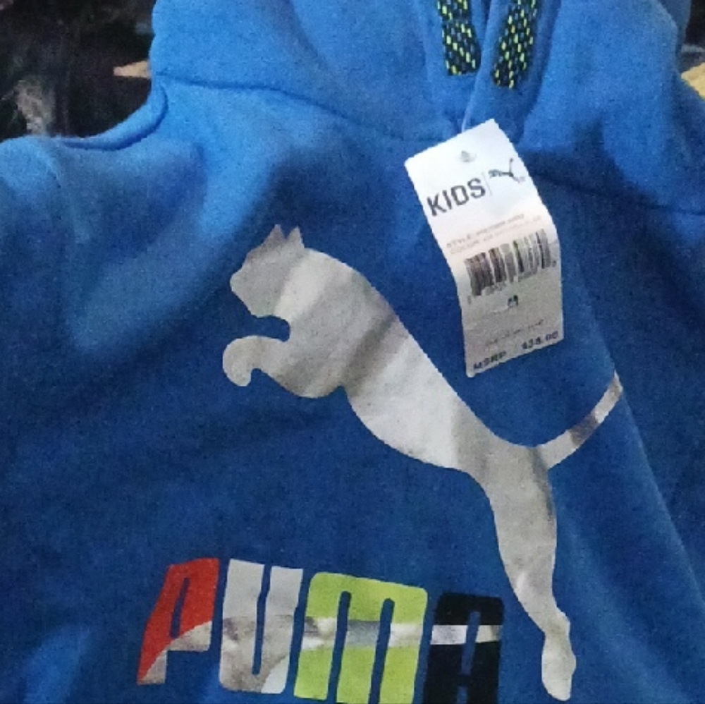 Puma Kids Blue Hoodie with Multicolor Logo